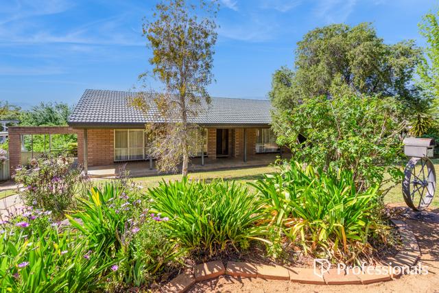 49 Wilks Avenue, NSW 2650