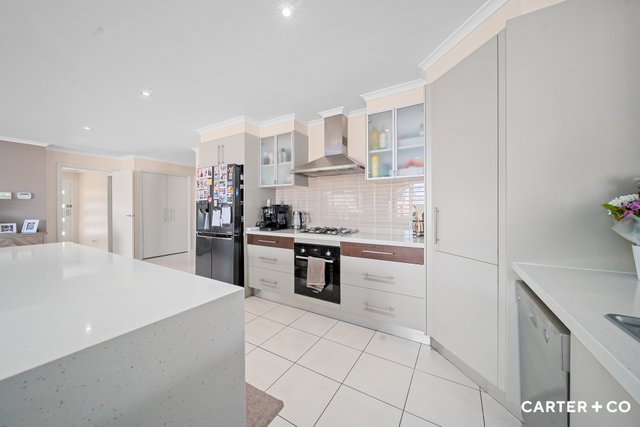 4 Alison Ashby Crescent, ACT 2906