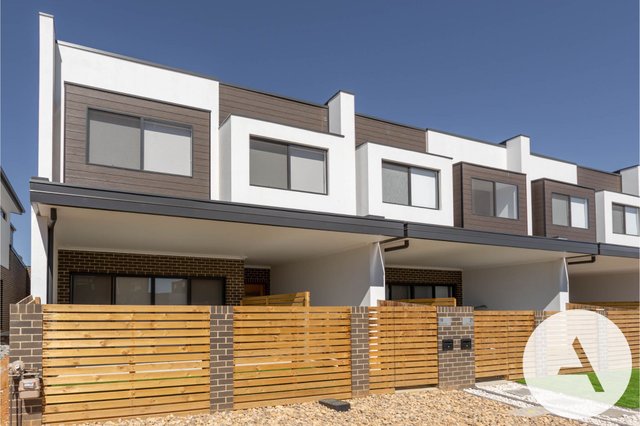 19 Quokka St, ACT 2914