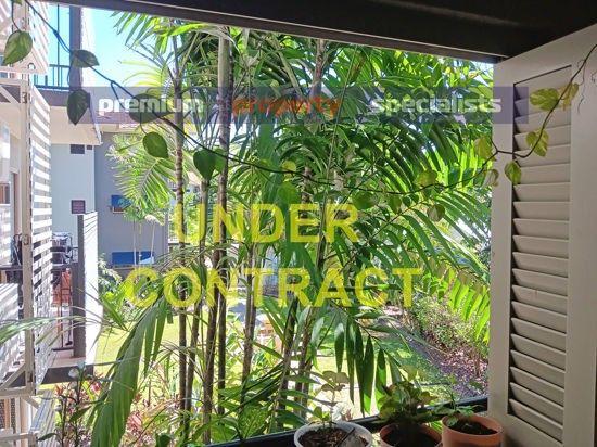 2004 40 Clifton Road, QLD 4879