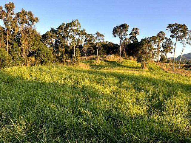 514 Dunwoody Road, QLD 4741