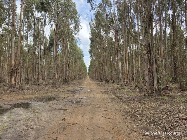 1458 Palmdale Road, WA 6328