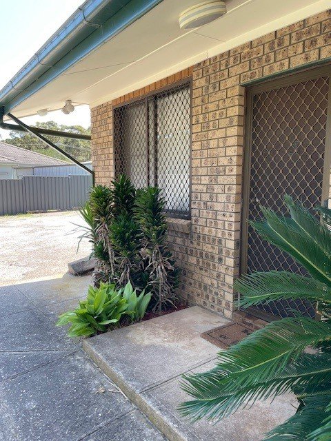 3/17 Massey Street, NSW 2537