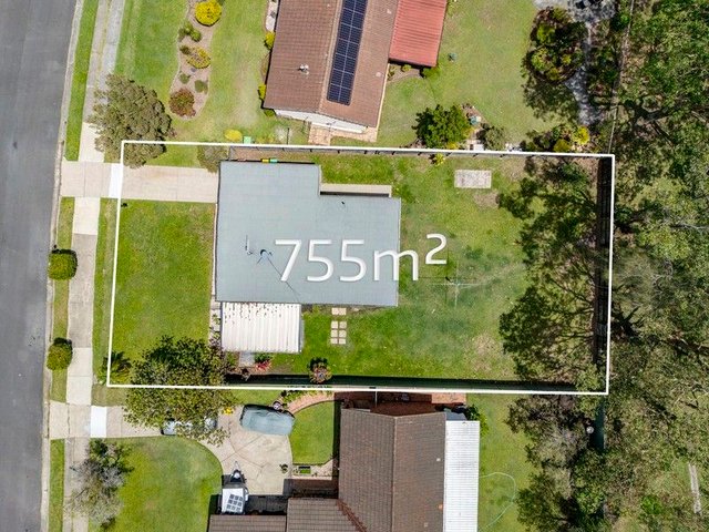 8 Sapium Road, QLD 4214