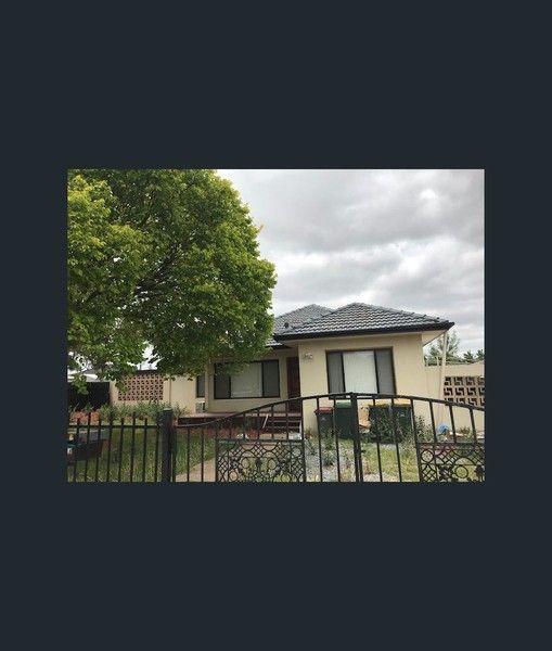 14 Norfolk Avenue, SA 5109