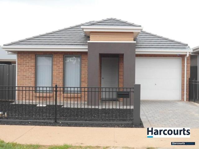 13 Seymour Avenue, SA 5116