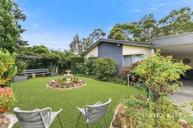 11 Stoneleigh Avenue, VIC 3155