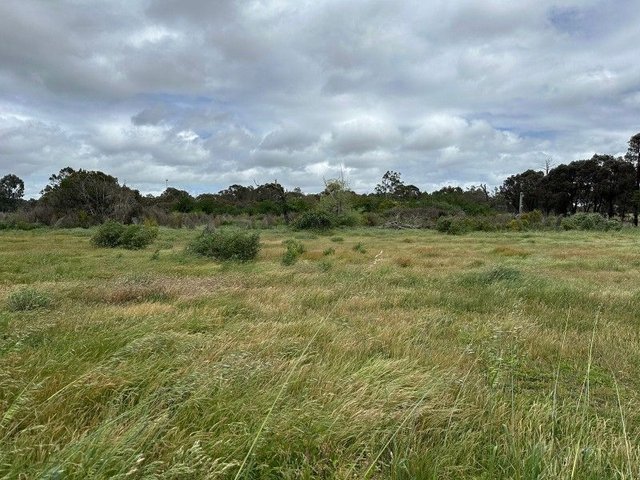 41 Avoca Road, VIC 3371