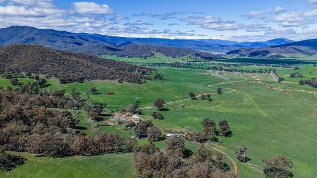 175 Oak Hill Road, NSW 3707