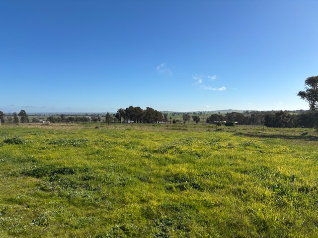319 Back Trundle Road, NSW 2870