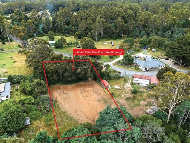 1 Mount Paris Dam Road, TAS 7264