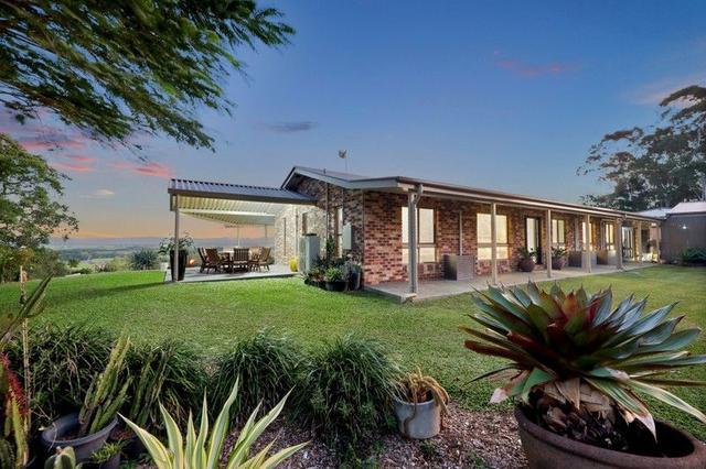 55 Palomino Parade, QLD 4740