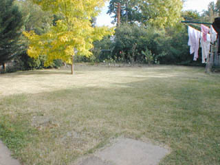 Rear yard