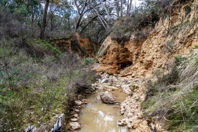 125 Dirt Hole Creek Road, NSW 2850