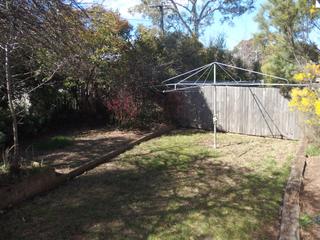 Backyard (2018-11-12)
