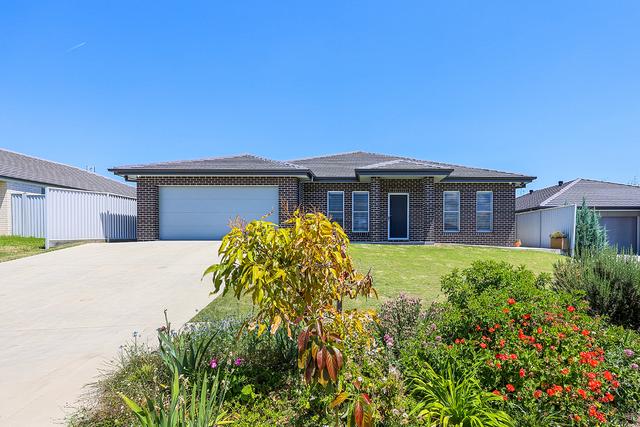 10 Palomino Place, NSW 2340