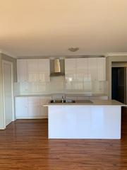 Standard Photo (2019-07-08)
