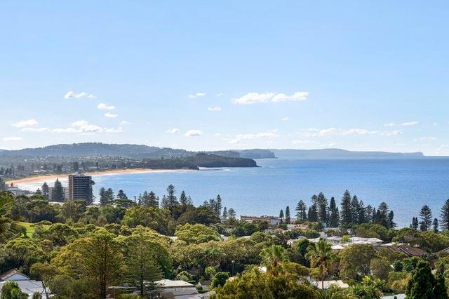 8 Norfolk Avenue, NSW 2097