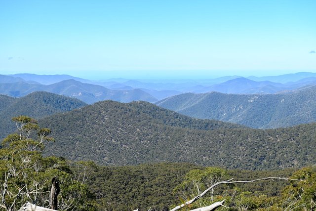 Lot 96 Kybeyan Road, NSW 2631