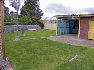 Backyard (2010-10-29)