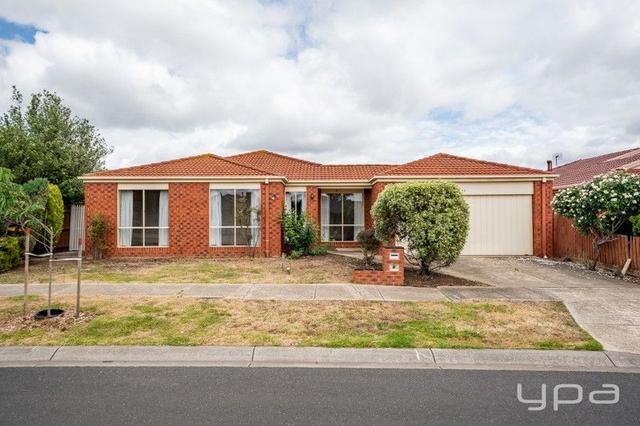 13 Delbridge Drive, VIC 3037