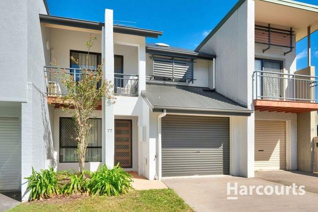77 Lockrose Street, QLD 4053