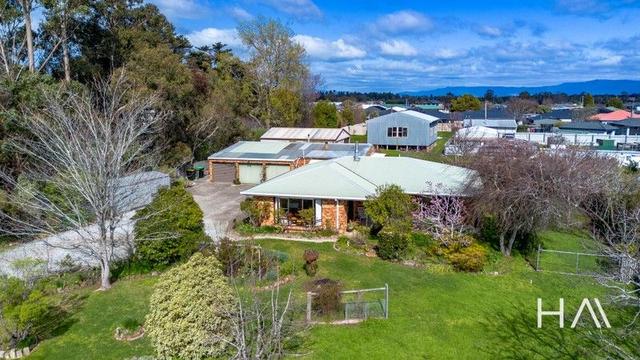 51 Lewis Street, TAS 7301