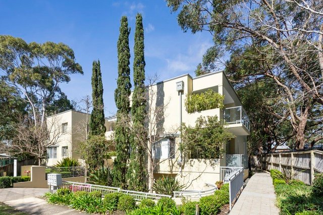 5/158 Melwood Avenue, NSW 2087