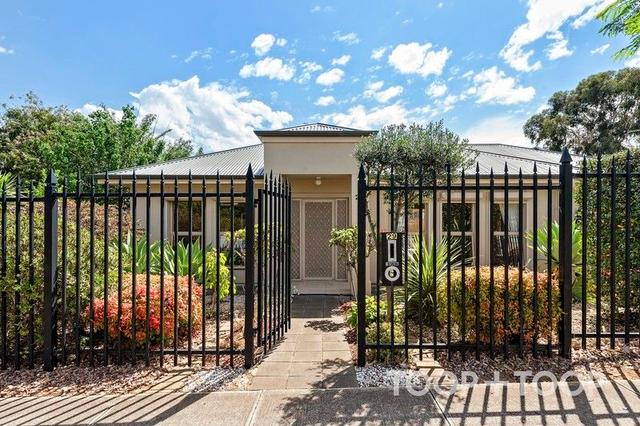 29 Blyth Street, SA 5085