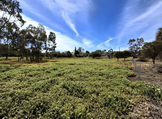 19 Clifford Street, WA 6302