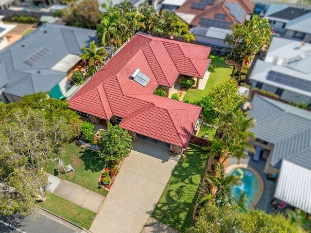 53 Clifford Perske Drive, QLD 4164