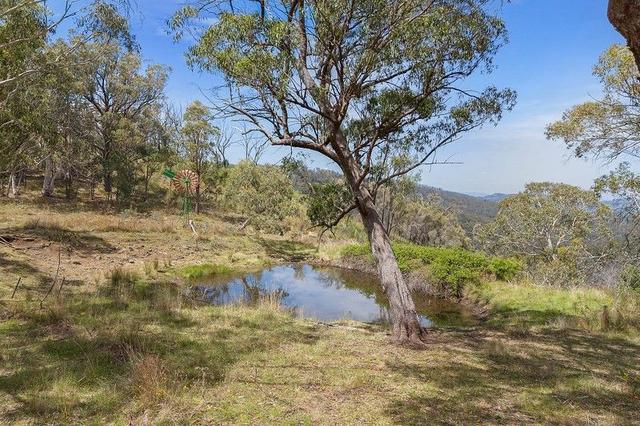 2515 Nullo Mountain Road, NSW 2849