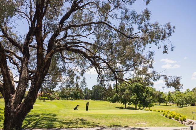 (no street name provided), ACT 2913