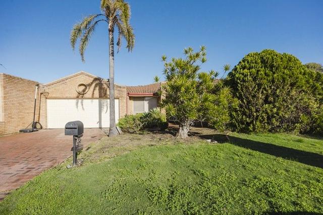 41 Whithorn Circle, WA 6028