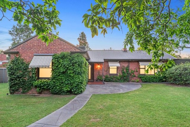 24 Addison Avenue, SA 5070