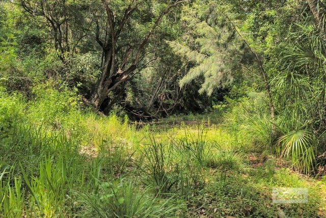 4 Korenan Service Road, QLD 4676