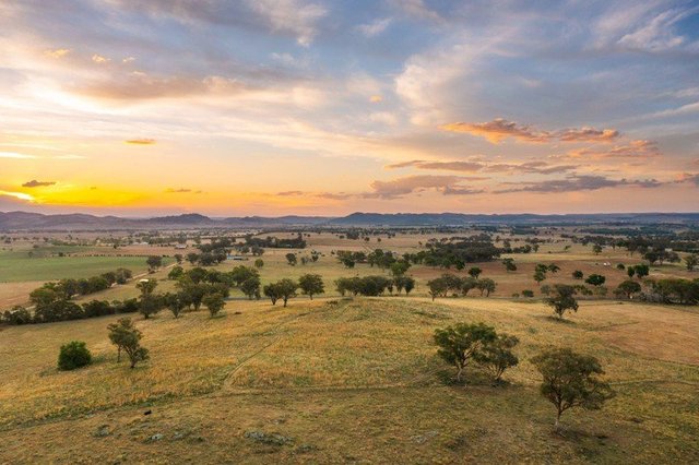 705 Springfield Lane, NSW 2852