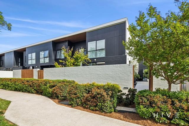 1/3 Lowrie Street, ACT 2602