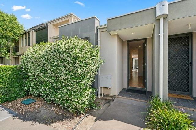 14/21 The Avenue, SA 5012