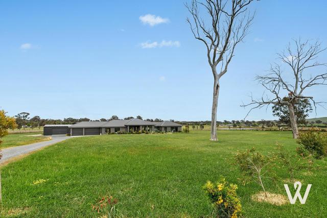 53 Jiparu Drive, NSW 2582