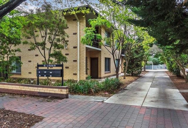 2/42 Le Hunte St, SA 5034