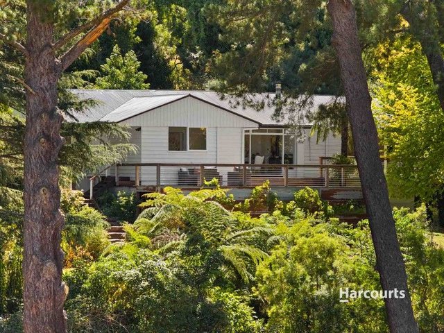 80 Bourkes Creek Road, VIC 3810