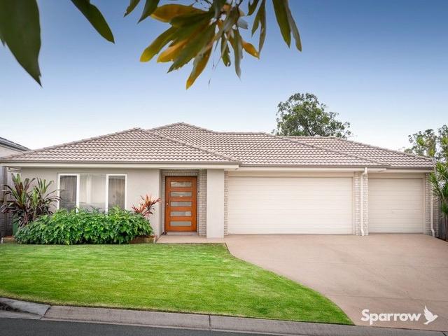 20 Wedgetail Street, QLD 4207