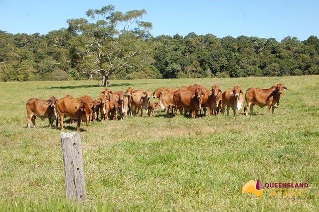 (no street name provided), QLD 4872