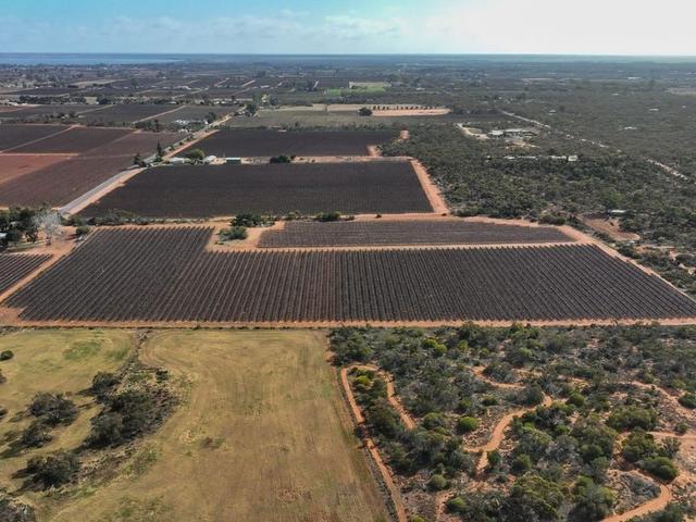 Section 862 Swinstead Road, SA 5345