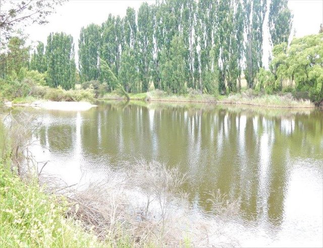 195 Lowanna Way, NSW 2630