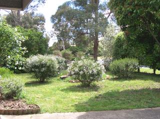 Front garden