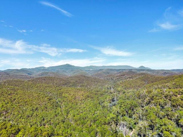 591 Upper Scamander Road, TAS 7215
