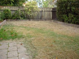 Backyard (2009-04-08)