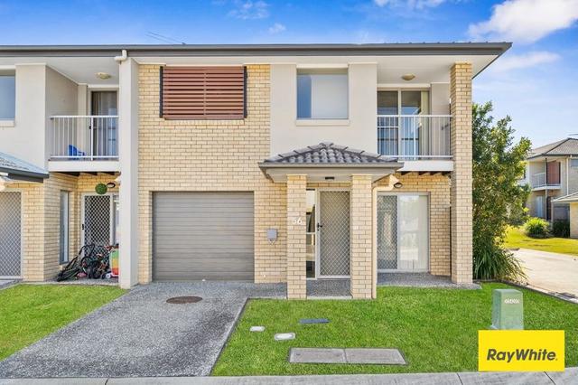 56/4 Myola Street, QLD 4118